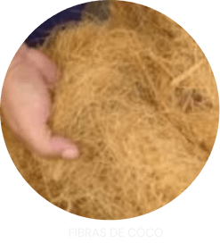 fibras de coco