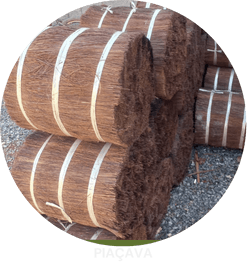 piacava